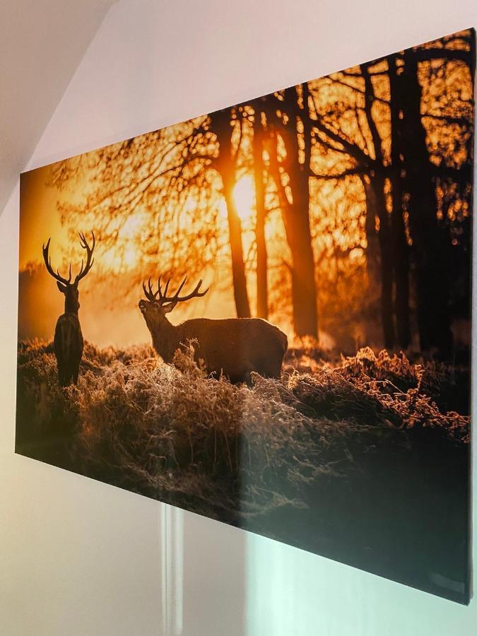 Apartment Am Park バート・ラウターベルク エクステリア 写真